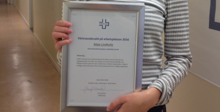 Årets Förtroendevald diplom